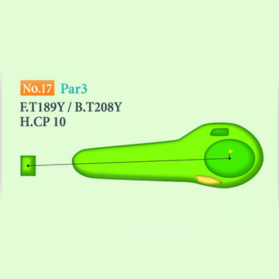 [싸이칸] 타케오우레시노 컨트리클럽 IN HOLE : 17