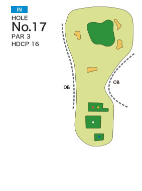 [PGM] 오이타후지미컨트리클럽 IN HOLE : 17