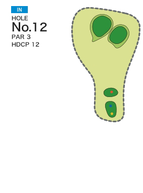 [PGM] 사츠키 골프 클럽 텐파이 코스  IN HOLE : 12