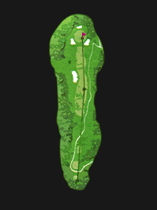 [아코디아] 고베파인우즈 골프클럽 IN HOLE : 16