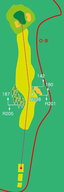 구마모토 츄오 컨트리클럽 IN HOLE : 11
