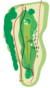 아오모리 로얄 골프클럽 IN HOLE : 10