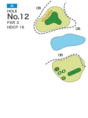 [PGM] 다마쓰쿠리골프클럽 네지키코스 IN HOLE : 12