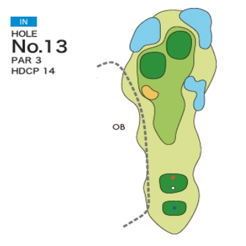 [PGM] 나리타노모리 컨트리클럽 IN HOLE : 13