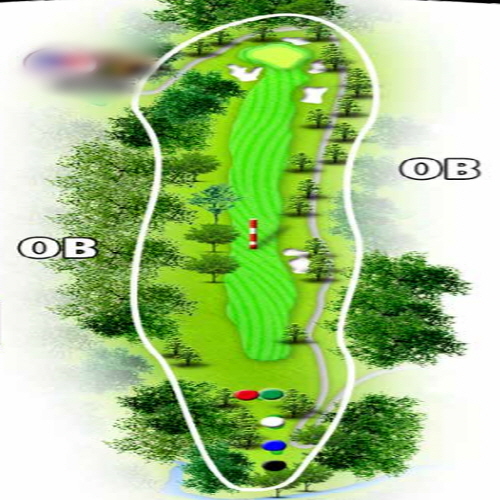 [아코디아] 루트25 골프클럽 IN HOLE : 14